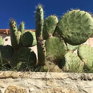https://bb-spiraglio.sicilyhotelsitaly.net